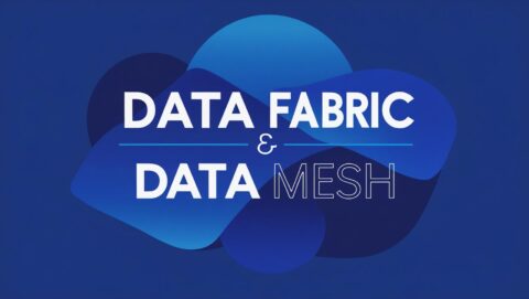 Data Fabric - Data Mesh - castellana software - EMPRESA DE DESARROLLO SOFTWARE MALAGA - ESPAÑA - INTERNACIONAL.